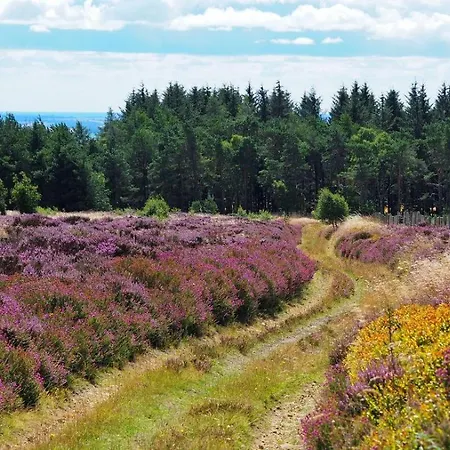Prázdninový dům The Bothy Carlton (North Yorkshire)