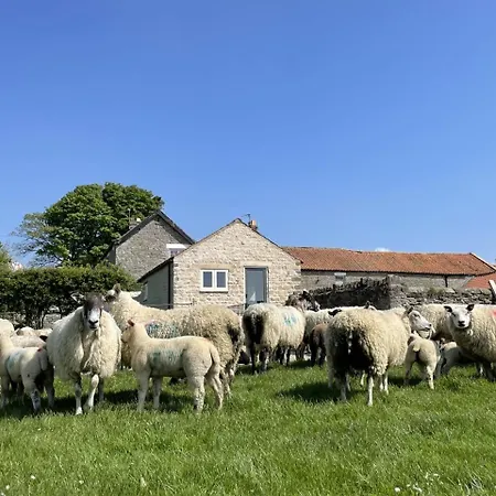 度假居 1 Bed In Pockley Oc-Y117 Carlton (North Yorkshire)