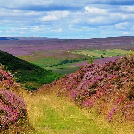 1 Bed In Pockley Oc-Y117 بيت للعطل Carlton (North Yorkshire)