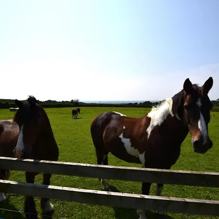 1 Bed In Pockley Oc-Y117 *